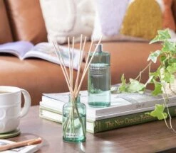 Habitat 90ml Diffuser & 180ml Refill - Rhubarb & Elderflower -Habitat 1241215 R Z001C